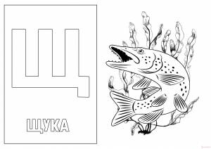 Слова на букву Щ