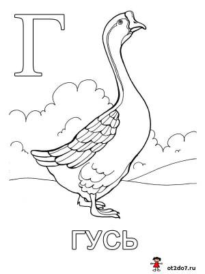 Раскраски на букву Г
