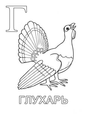 Буква Г с глухарём