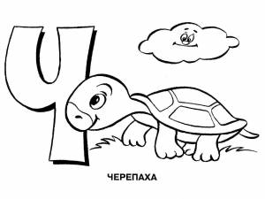 Раскраски Раскраска Черепаха на букву ч алфавит детские