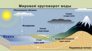 Круговорот воды