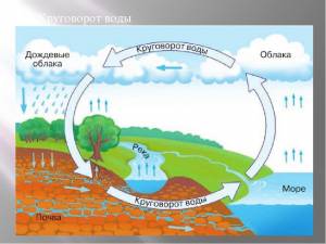Опиши круговорот воды в природе