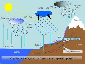 Нарисуйте схему круговорота воды в природе