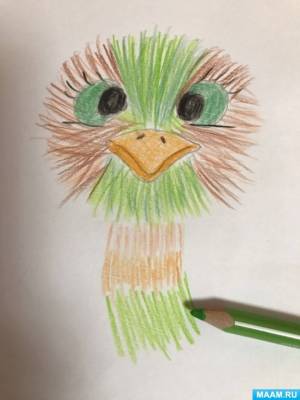 Рисование в нетрадиционной технике «зональной штриховки» с детьми старшего дошкольного возраста «Страус-пушистик»