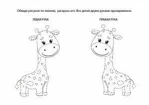 Раскраска № 4213
