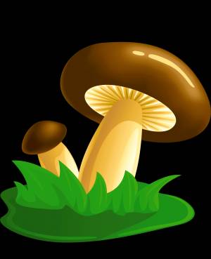 Раскраска Грибы