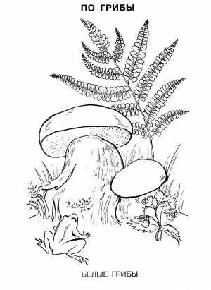 Раскраска Белый Гриб
