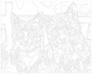 картина по номерам Живопись по Номерам Кошка и кот, 40x50, цены на Мегамаркет