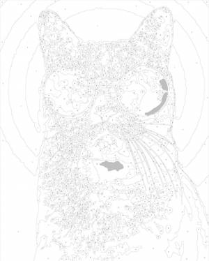 Картина по номерам Кот в очках