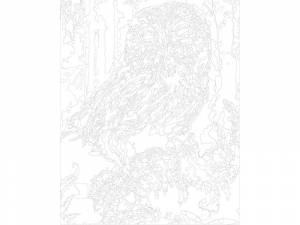 картина по номерам Живопись по Номерам Сова на ветке, 50x40, цены на Мегамаркет