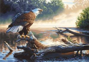 Орел охотник