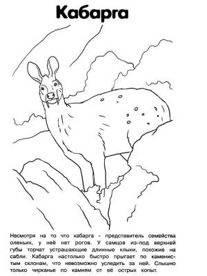 Раскраски Красная книга