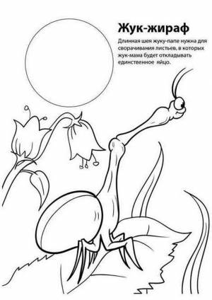 Раскраска Жук-жираф