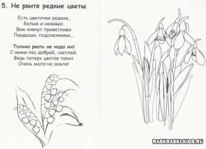 Раскраска Растения Красной книги