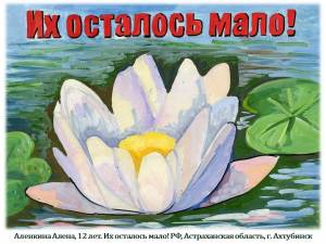 Растения и животные красной книги рисунки