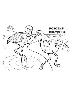 Раскраски Красная книга