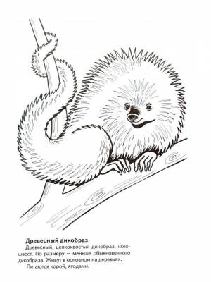 Раскраска Красная книга для детей