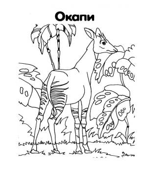 Раскраски Красная книга