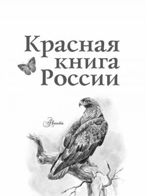 Раскраски Красная книга обложка