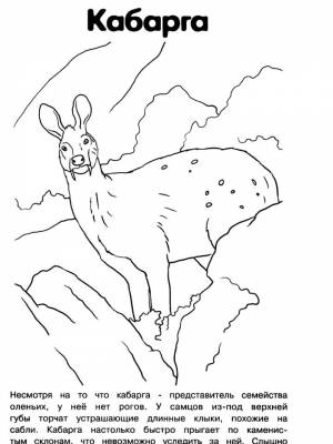 Раскраски Красная книга   в формате