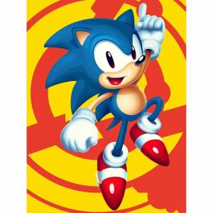 Картина по номерам на холсте рисование Sonic