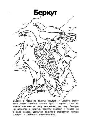 Раскраска Красная книга