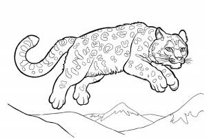 Животные красной книги россии раскраска