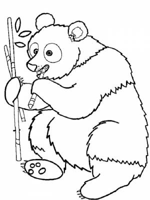 Фото по запросу Медведь раскраска состав