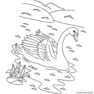 Картинки лебеди на озере раскраска