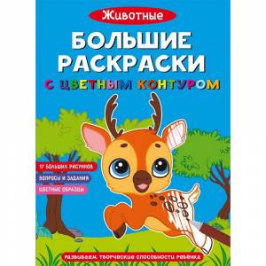 Раскраска CRYSTAL BOOK Большие раскраски с цветным контуром