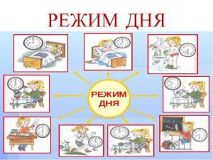 Картинки режим дня окружающий мир