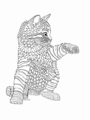 Раскраски Кошек Антистресс