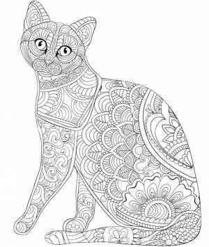 Кошечка с узором