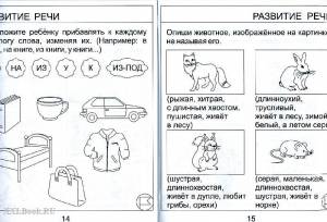 Картинки знакомство с окружающим миром