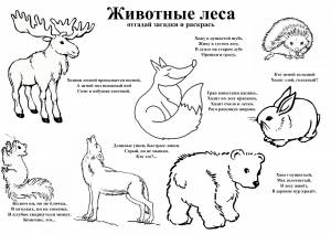 Раскраски С загадками