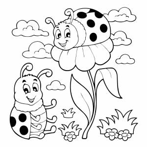 Две божьи коровки