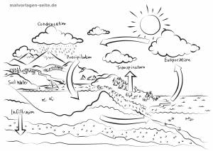 Раскраски Круговорот воды в природе