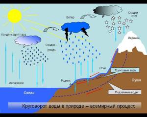 схематично изобразите круговорот воды в природе