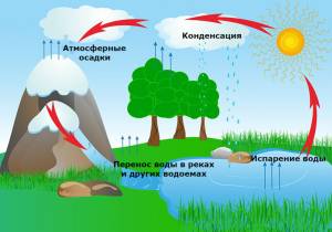 Имеет ли круговорот воды начало и окончание?