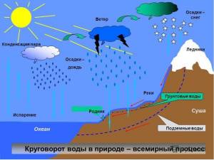Картинки круговорот природы
