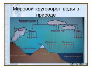 Презентация на тему