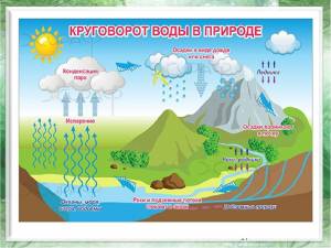 Картинки круговорота воды в природе