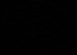 Раскраска Пицца Пепперони