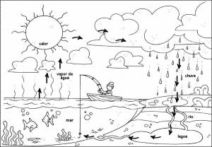 Раскраски Круговорот воды