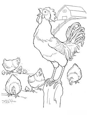 Раскраска Деревня