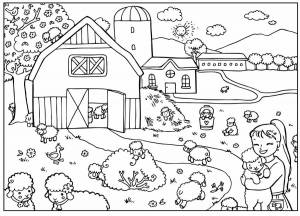 Раскраски Мое село