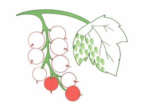 Раскраски шаблоны для пальчиков  и