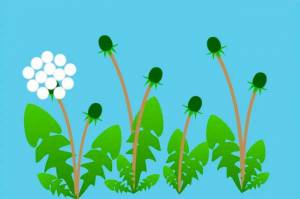 Пальчиковое рисование цветными красками в младшей группе, картинки