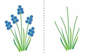 Пальчиковые раскраски