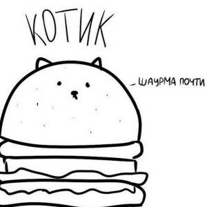 Раскраски кот на гамбургере